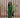 Bottle Green Co-Ord Set