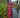 Redwood Aura Coord Set