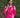 Fushia Elan Coord Set