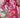 Rani Pink Co-Ord Set
