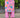 Roseline Harmony Coord Set